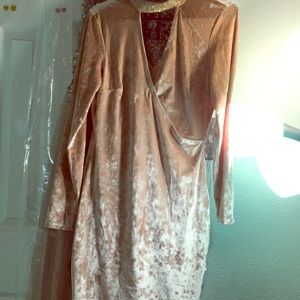 A pink velvet body on dress